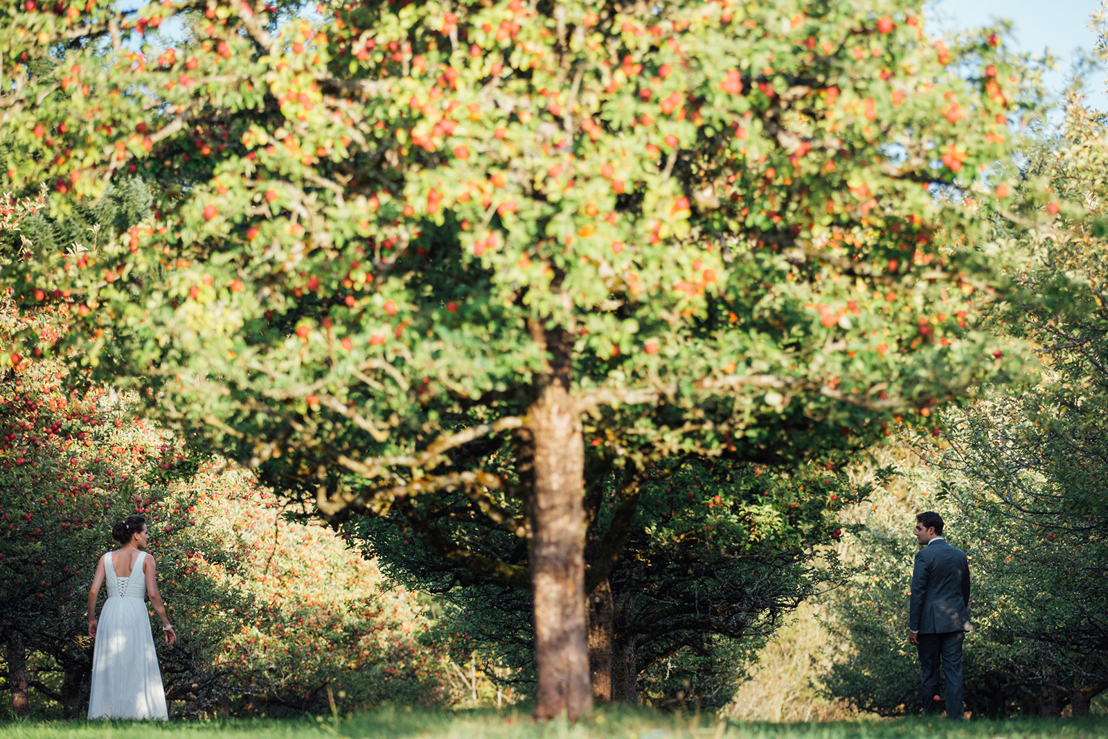 merridale-cider-wedding-photography-26