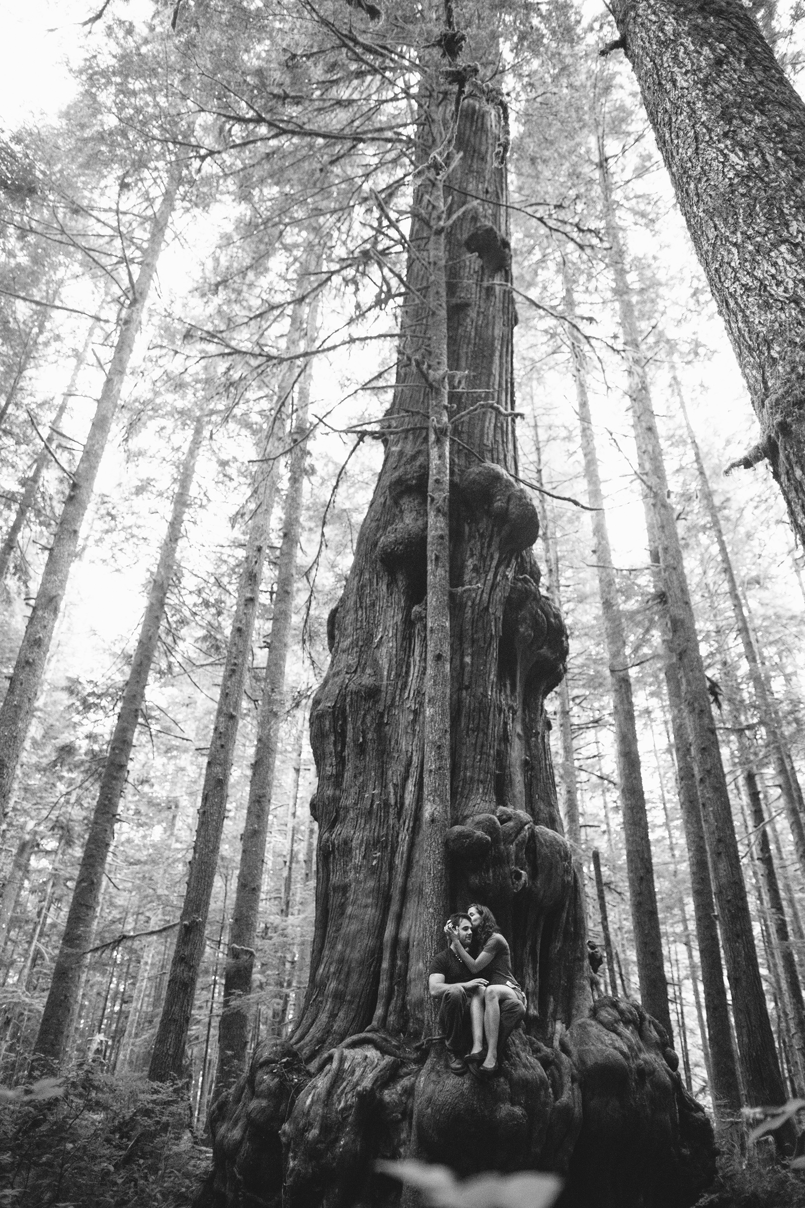 avatar-grove-engagement-photos-12