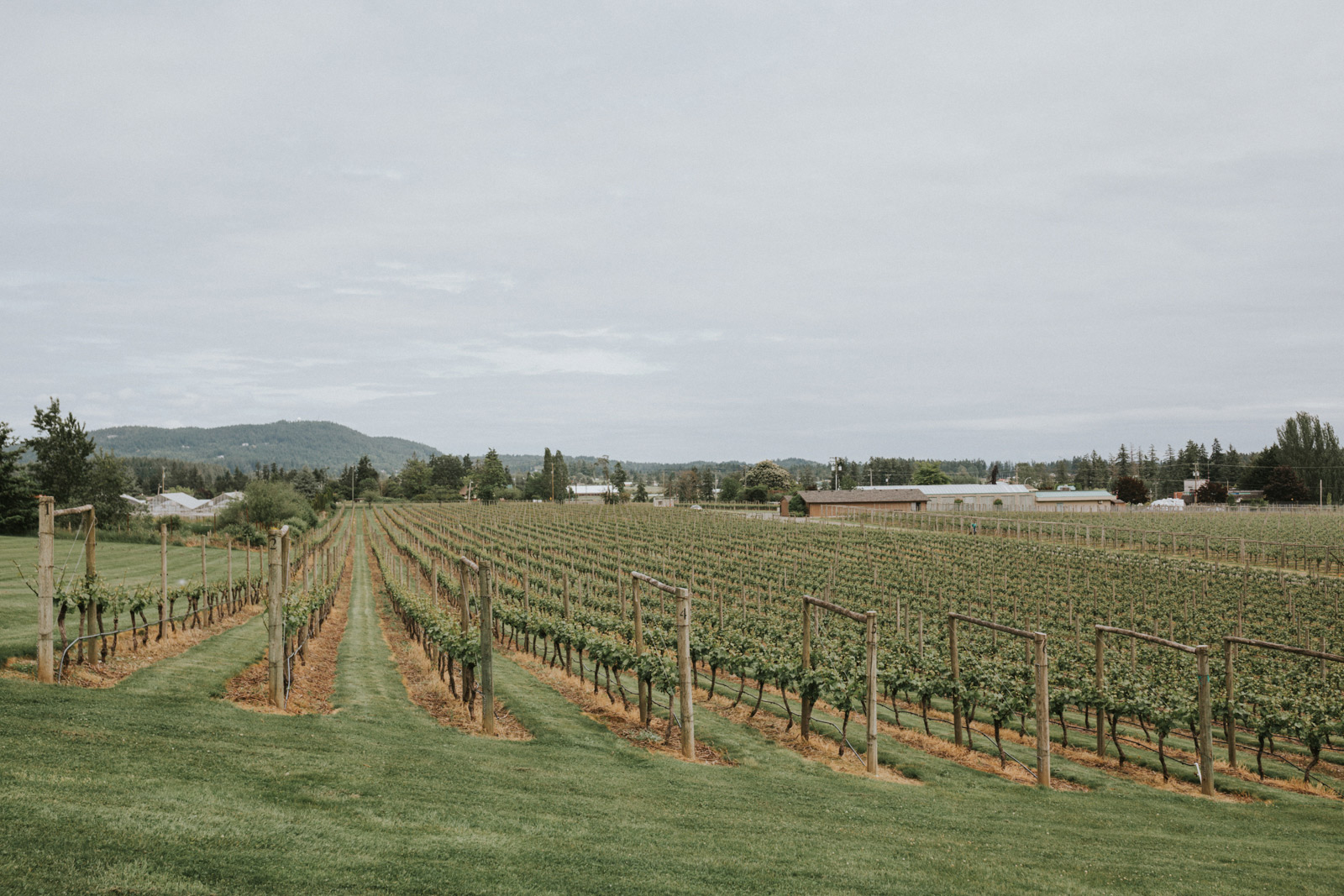 church-and-state-winery-wedding-photography-19