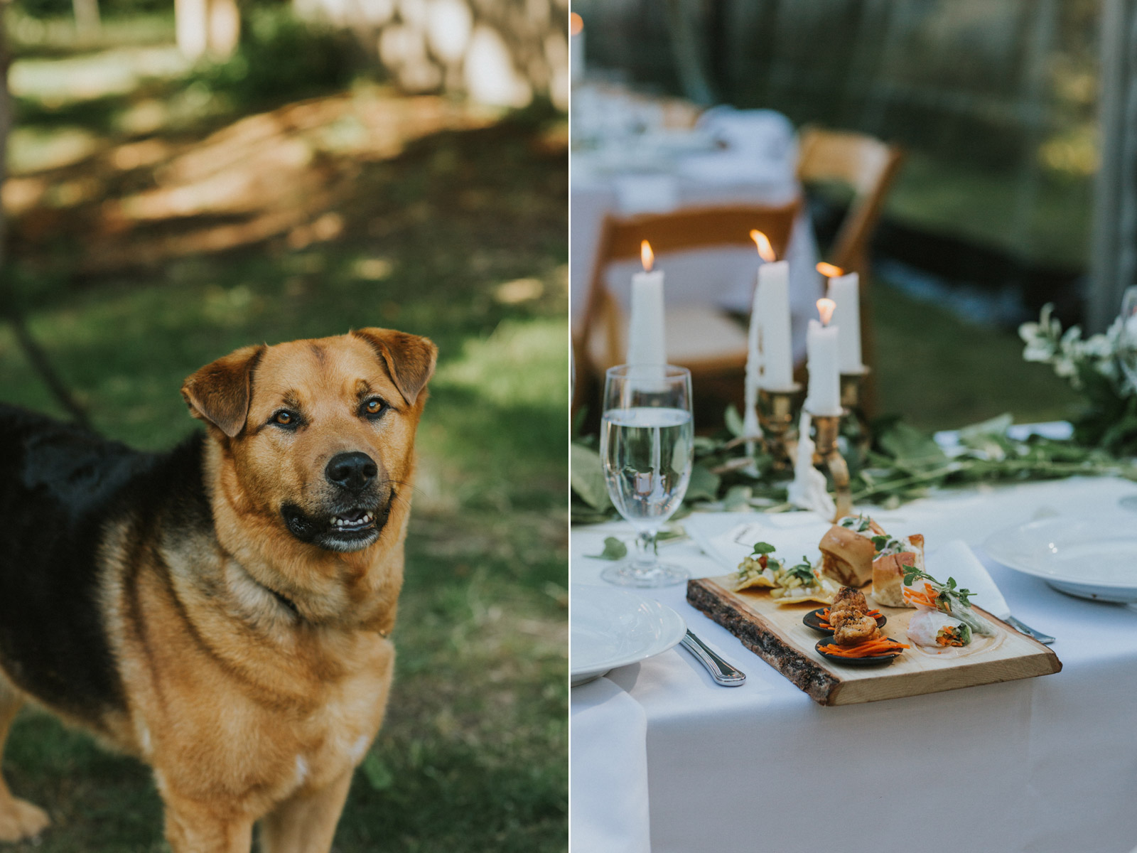 Platter of food backyard wedding reception Toque Catering